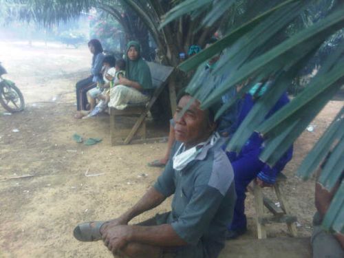 Jumlah Pengungsi Karhutla di Bengkalis 221 Jiwa, Luas Lahan Terbakar Lebih 2.000 Ha