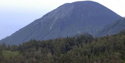 Pertamina Sanggup Garap Ciremai, Mengapa Chevron yang Menang?