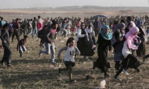 GoRiau Militer Israel Kembali Tembak Mati Warga Palestina di Gaza