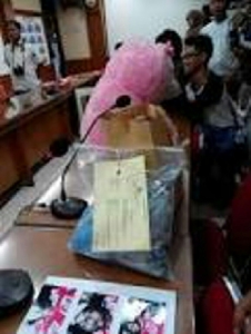 GoRiau Mahasiswi Cantik Dibunuh Pasangan Kumpul Kebonya di Kamar Kos Gunakan Boneka Panda