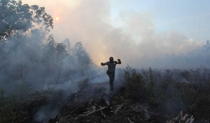 GoRiau Cegah Karhutla di Riau, BNPB Terjunkan 1.205 Personel TNI dan Polri