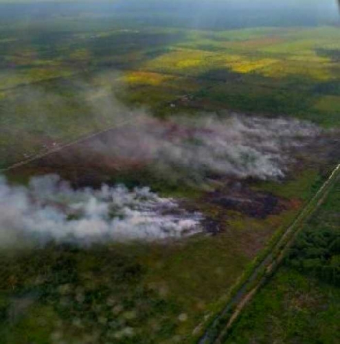27 Titik Panas Terdeteksi di 4 Kabupaten di Riau, BMKG Prakirakan Suhu Udara 23-34 Derajat Celcius
