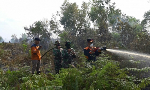 Karhutla di Bantan Bengkalis Capai 6 Hektare, Upaya Pemadaman dan Pendinginan Terus Dilakukan