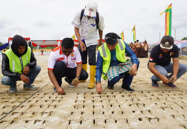 Lapangan Sepakbola di Sport Center Pekanbaru Ditanami Rumput Manila, Diharapkan Bisa Berstandar Internasional