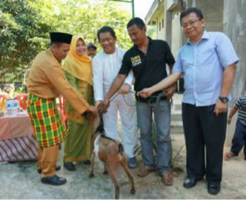 PT BSP Bantu Warga 100 Ekor Kambing, Yan Prana: Ini Sangat Bermanfaat bagi Masyarakat