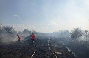 GoRiau Petugas Darat dan Udara Dikerahkan ke Lokasi Karhutla di Inhu dan Inhil untuk Proses Pendinginan