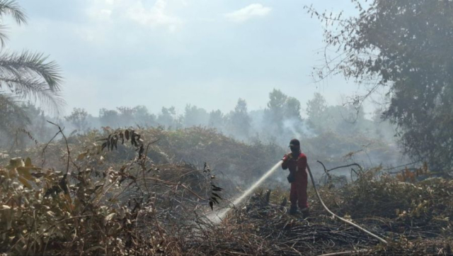 Dua Petani di Inhu Ditangkap karena Bakar Lahan