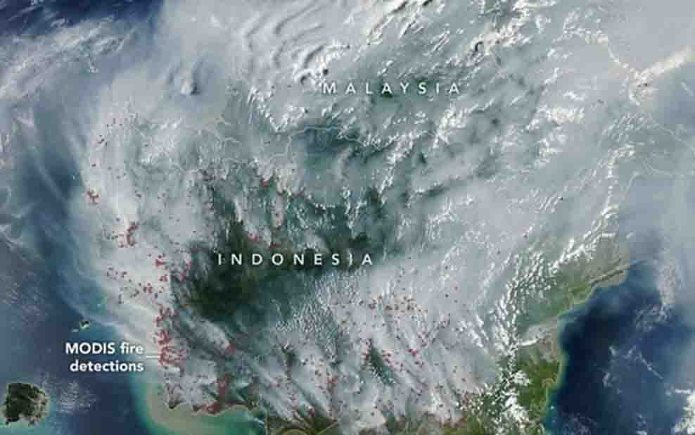 NASA Rilis Citra Satelit, Kabut Asap Karhutla Selimuti Indonesia