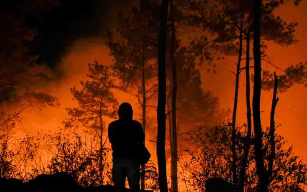 112 Tersangka Karhutla Ditangkap, Sebagian Besar di Riau dan Sumsel