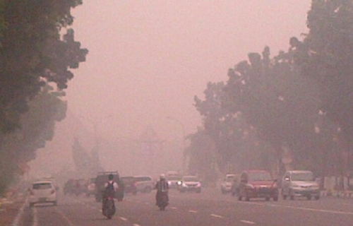 Walau Kabut Asap Tebal, Menteri Perlindungan Anak Ingin Siswa di Riau Tetap Sekolah