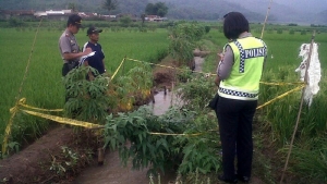 GoRiau Duh Kasihan, Setelah Dihamili, Siswi SMA Ini Dibunuh dan Dibuang ke Selokan di Areal Persawahan