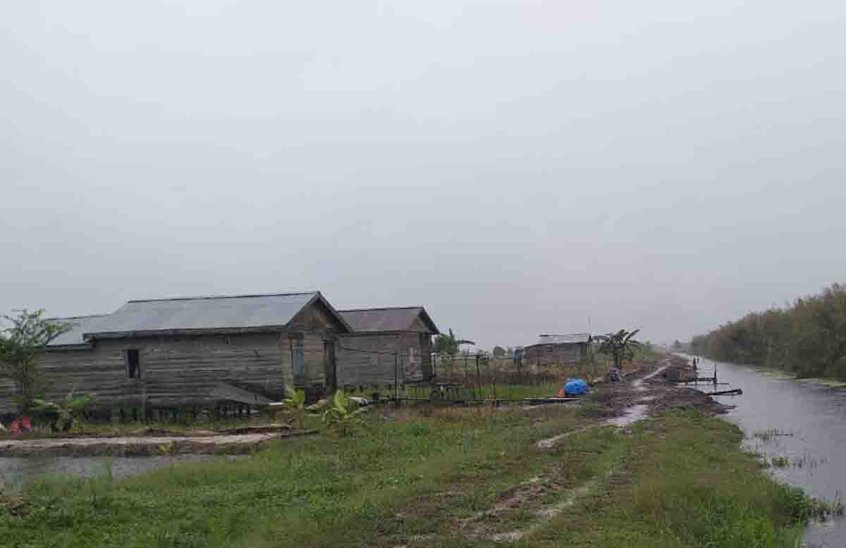 Banjir Genangi Area Persawahan di Inhil, Petani Terancam tak Jadi Bertanam