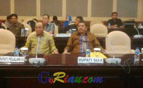 Di Hadapan Sejumlah Menteri, Alfedri Sampaikan 7 Desa di Siak Masuk Kawasan Hutan