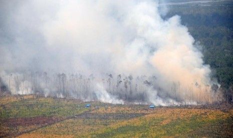 Zona Inti Cagar Biosfer Giam Siak Juga Ikut Terbakar