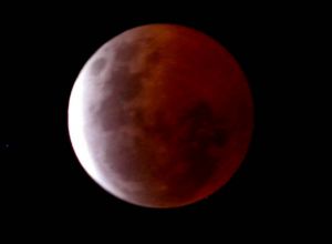 GoRiau Indahnya Gerhana Bulan Merah Darah yang Terlihat di Langit Jimbaran