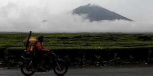 GoRiau Gunung Kerinci Semburkan Asap Kelabu Setinggi 800 Meter, Radius 3 Kilometer Dinyatakan Berbahaya