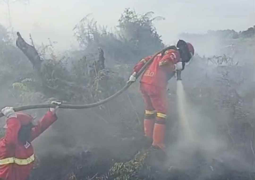 Tim Daops Labuhan Batu Selatan Sudah Standby, Pasukan Lintas Provinsi Siap Kepung Api Rokan Hilir