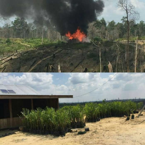 Ancaman Serius TNI untuk Pelaku Pembakar Lahan dan Hutan Riau, Mereka Bakar Kita Bakar Balik! Kalau Ketemu Kita Comot