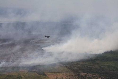Kebakaran Lahan di Riau Makin Parah, 49 Titik Panas Kepung 11 Kabupaten