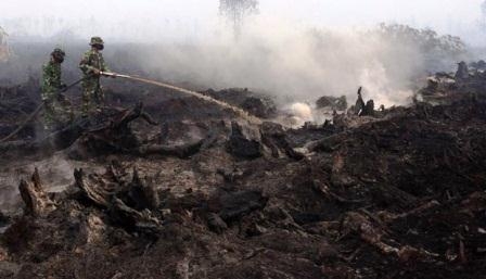 Solusi Kebakaran Lahan di Riau, Hentikan Izin Perusahaan di Lahan Gambut!