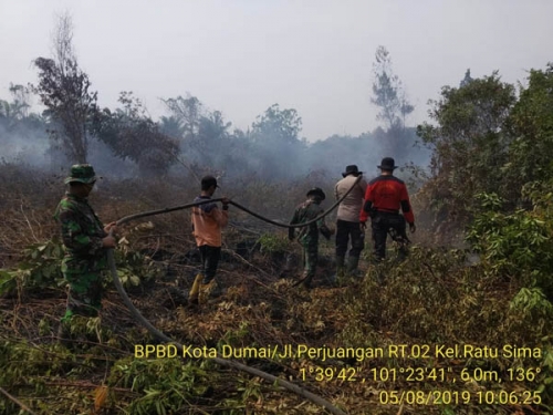 Semenjak Awal 2019, 304 Hektare Lebih Lahan Terbakar di Kota Dumai