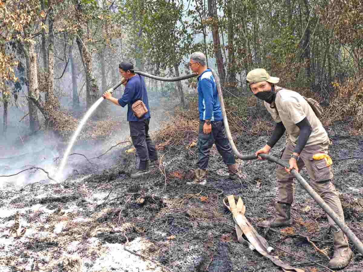 Inpres 11 Tahun 2026 Terbit, APHI Riau Dorong Pembukaan Lahan Tanpa Bakar Lewat Desa Bebas Api