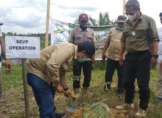 Sinergi PTPN V dan BBKSDA Riau Bentuk Tim Mitigasi Gajah Sumatera