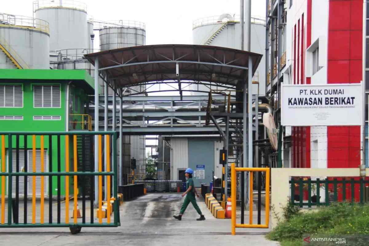 Proyek Tangki PT KLK Grup di Dumai Telan Korban, Dua Pekerja Dirawat di RS