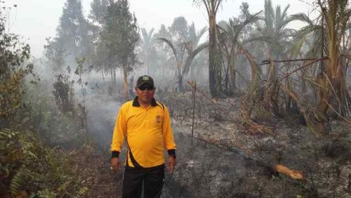 Puluhan Hektar Lahan Terbakar, Pemkab Meranti Diminta Melapor Jika Tak Sanggup Menangani