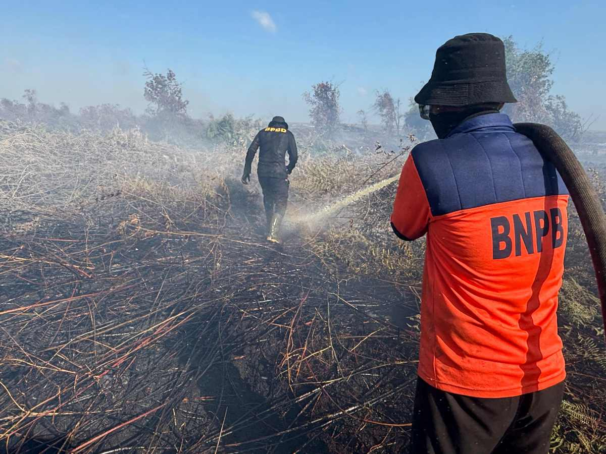 Tujuh Hari Berjibaku, Api Karhutla di Tenggayun Raya Akhirnya Padam