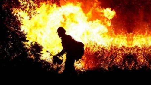 Karena Gangguan Jiwa, 1 Pembakar Hutan Riau Dilepas