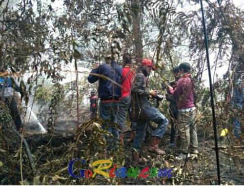 Ratusan Personil PT SRL Berjibaku Padamkan Karhutla di Desa Tebun Rangsang