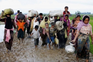 GoRiau Helikopter Militer Myanmar Tembaki Muslim Rohingya yang Sedang Bekerja di Sawah, 7 Tewas dan 18 Terluka