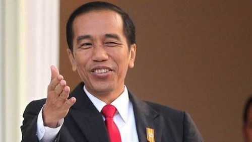 Tiba Selasa Lusa, Berikut Agenda Kegiatan Presiden Jokowi di Riau