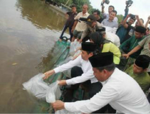 Syamsuar Tabur 2.500 Benih Ikan Patin di Sungai Siak