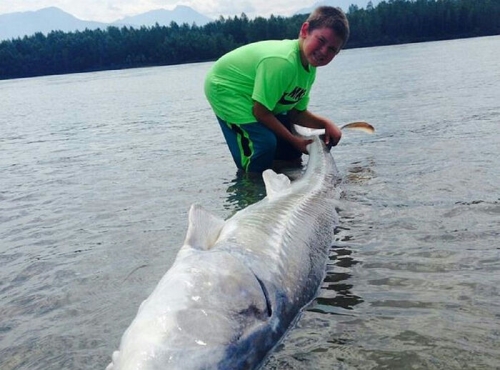 Menakjubkan, Bocah 9 Tahun Berhasil Tangkap Ikan Raksasa