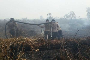 GoRiau Masuki Musim Kemarau, BNPB Tambah 2 Helikopter untuk Cegah Karhutla di Riau