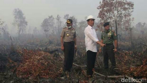 Jokowi Didampingi Panglima TNI dan Kapolri Terobos Hutan yang Hangus di Ogan Komering Ilir