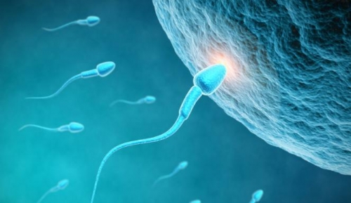 Heboh Kabar Donor Sperma di UGM, Rp50 Ribu Sekali Masturbasi