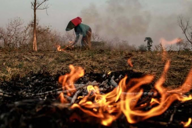 BPBD Pekanbaru Catat 57 Hektar Lahan Terbakar Sejak Januari 2021
