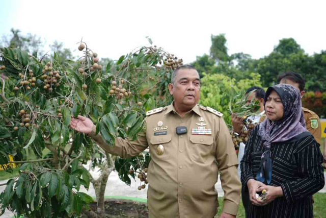 Taman Gembira Durilengkeng Pekanbaru Riau Jadi Tempat Belajar Bertani