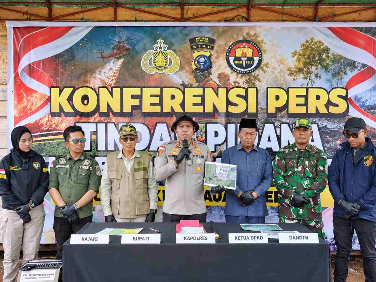 Luas Lahan Terbakar di Gemala Sari Rangsang Capai 85 Hektare, Polres Meranti Tetapkan Satu Tersangka Karhutla
