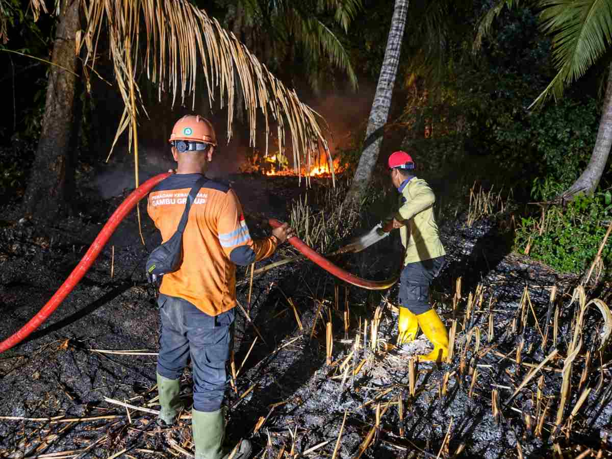 Karhutla Landa Perbatasan Amal Bakti dan Sungai Teritip Inhil, Tim Gabungan dan PT Pulau Sambu Berjibaku Padamkan Api