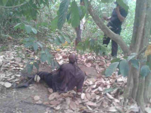 Sedang Cari Babi, Warga di Keritang Inhil Temukan Mayat Tergantung di Pohon Duku