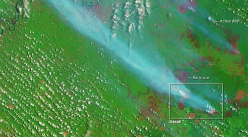 Foto dari Satelit NASA Ini Buktikan Lahan Sengaja Dibakar Perusahaan Perkebunan