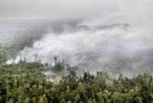 GoRiau Pagi Ini, 7 Titik Panas Terdeteksi di Riau