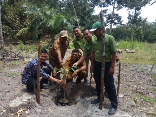 Dapat Bantuan Bibit dan Pelatihan dari PT RAPP, Camat Koto Gasib: Mudah-mudahan Sri Gemilang Jadi Sentra Durian Montong