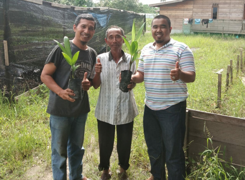 Melalui Program Pinang Masuk Desa, DPD Partai NasDem Kepulauan Meranti Distribusikan 50 Ribu Bibit Pinang Batara ke Petani