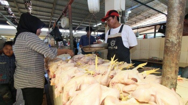Waduh, Harga Ayam Potong di Siak Capai Rp50 Ribu per Kilogram
