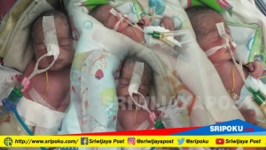 GoRiau Nora Septiani Lahirkan Bayi Kembar 4